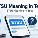 STSU Meaning in Text